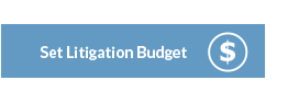 Set Litigation Budget